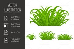 Green Grass Product Image 1