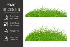 Green Grass Product Image 1