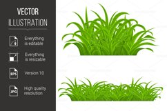 Green Grass Product Image 1