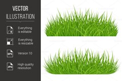 Green Grass Product Image 1