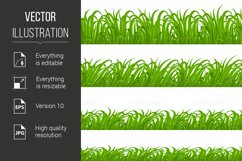 Green Grass Product Image 1