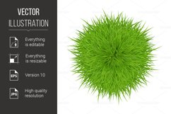 Green Grass Product Image 1