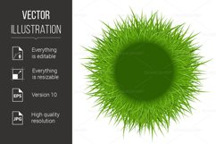 Green Grass Product Image 1