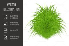Green Grass Product Image 1