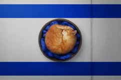 Backgrounds for Photography & Marketing. Israel Product Image 8