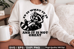 It Is What It Is And SVG -Vintage Funny Raccoon Design Product Image 1