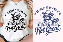It Is What It Is And It Is Not Great SVG Product Image 2