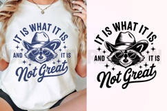 It Is What It Is And It Is Not Great SVG Product Image 3