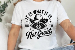 It Is What It Is And It Is Not Great SVG Product Image 2