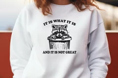 Funny Raccoon SVG | It Is What It Is And It Is Not Great PNG Product Image 2