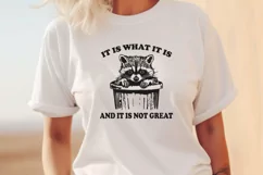 Funny Raccoon SVG | It Is What It Is And It Is Not Great PNG Product Image 3