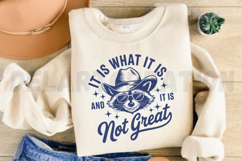 It Is What It Is And It Is Not Great SVG Product Image 4