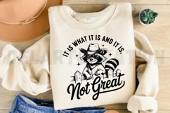It Is What It Is And It Is Not Great SVG Product Image 4