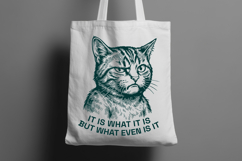 Funny Sarcastic Cat SVG It Is What It Is But What Even Is It Product Image 2