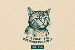 Funny Sarcastic Cat SVG It Is What It Is But What Even Is It Product Image 1