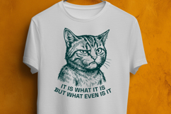 Funny Sarcastic Cat SVG It Is What It Is But What Even Is It Product Image 3
