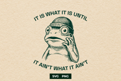 Sarcastic Frog It Is What It Is SVG Cut File Product Image 1