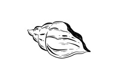 Mediterranean Dolce Vita Clip Art: 23 Italian &amp; French Product Image 9