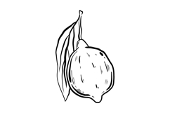 Mediterranean Dolce Vita Clip Art: 23 Italian &amp; French Product Image 3