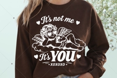It's Not Me It's You SVG PNG, Anti Valentine's Day SVG Product Image 4