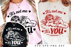 It's Not Me It's You SVG PNG, Anti Valentine's Day SVG Product Image 5