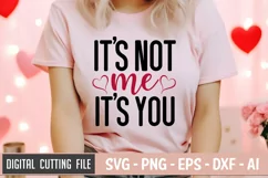 It's Not Me It's You SVG File | Anti Valentine's Day SVG Product Image 2