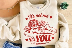 It's Not Me It's You SVG PNG, Anti Valentine's Day SVG Product Image 7