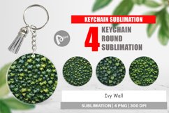 Keychain Ivy Wall Product Image 1