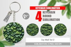 Keychain Ivy Wall Product Image 1