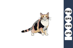 Calico cat sitting with happy expression adorable feline pet Product Image 1