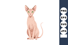 Sphinx cat hairless breed sitting with green eyes vector ill Product Image 1