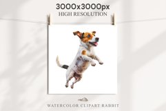 Jack Russell Terrier Cute Puppy Baby Dog Animals Clipart PNG Watercolor  Transparent Print for invitation t-shirt designs sublimation kids printable digital watercolor Baby dog png, watercolor  Jack Russell Terrier puppy clipart, sublimation nursery drawi