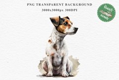 Jack Russell Terrier Cute Puppy Baby Dog Animals Clipart PNG Watercolor  Transparent Print for invitation t-shirt designs sublimation kids printable digital watercolor Baby dog png, watercolor  Jack Russell Terrier puppy clipart, sublimation nursery drawi