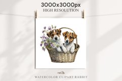 Jack Russell Terrier Cute Puppy Baby Dog Animals Clipart PNG Watercolor  Transparent Print for invitation t-shirt designs sublimation kids printable digital watercolor Baby dog png, watercolor  Jack Russell Terrier puppy clipart, sublimation nursery drawi