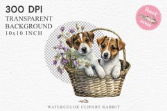 Jack Russell Terrier Cute Puppy Baby Dog Animals Clipart PNG Watercolor  Transparent Print for invitation t-shirt designs sublimation kids printable digital