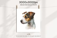 Jack Russell Terrier Cute Puppy Baby Dog Animals Clipart PNG Watercolor  Transparent Print for invitation t-shirt designs sublimation kids printable digital watercolor Baby dog png, watercolor  Jack Russell Terrier puppy clipart, sublimation nursery drawi