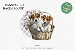 Jack Russell Terrier Cute Puppy Baby Dog Animals Clipart PNG Watercolor  Transparent Print for invitation t-shirt designs sublimation kids printable digital watercolor Baby dog png, watercolor  Jack Russell Terrier puppy clipart, sublimation nursery drawi