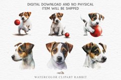 Jack Russell Terrier Cute Puppy Baby Dog Animals Clipart PNG Watercolor  Transparent Print for invitation t-shirt designs sublimation kids printable digital