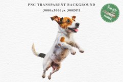 Jack Russell Terrier Cute Puppy Baby Dog Animals Clipart PNG Watercolor  Transparent Print for invitation t-shirt designs sublimation kids printable digital watercolor Baby dog png, watercolor  Jack Russell Terrier puppy clipart, sublimation nursery drawi
