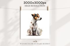 Jack Russell Terrier Cute Puppy Baby Dog Animals Clipart PNG Watercolor  Transparent Print for invitation t-shirt designs sublimation kids printable digital watercolor Baby dog png, watercolor  Jack Russell Terrier puppy clipart, sublimation nursery drawi