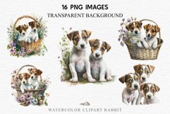 Jack Russell Terrier Cute Puppy Baby Dog Animals Clipart PNG Watercolor  Transparent Print for invitation t-shirt designs sublimation kids printable digital
