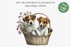 Jack Russell Terrier Cute Puppy Baby Dog Animals Clipart PNG Watercolor  Transparent Print for invitation t-shirt designs sublimation kids printable digital watercolor Baby dog png, watercolor  Jack Russell Terrier puppy clipart, sublimation nursery drawi