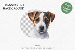 Jack Russell Terrier Cute Puppy Baby Dog Animals Clipart PNG Watercolor  Transparent Print for invitation t-shirt designs sublimation kids printable digital watercolor Baby dog png, watercolor  Jack Russell Terrier puppy clipart, sublimation nursery drawi