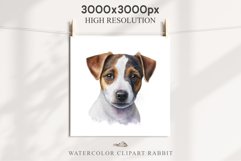 Jack Russell Terrier Cute Puppy Baby Dog Animals Clipart PNG Watercolor  Transparent Print for invitation t-shirt designs sublimation kids printable digital watercolor Baby dog png, watercolor  Jack Russell Terrier puppy clipart, sublimation nursery drawi