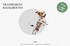 Jack Russell Terrier Cute Puppy Baby Dog Animals Clipart PNG Watercolor  Transparent Print for invitation t-shirt designs sublimation kids printable digital watercolor Baby dog png, watercolor  Jack Russell Terrier puppy clipart, sublimation nursery drawi