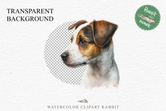 Jack Russell Terrier Cute Puppy Baby Dog Animals Clipart PNG Watercolor  Transparent Print for invitation t-shirt designs sublimation kids printable digital watercolor Baby dog png, watercolor  Jack Russell Terrier puppy clipart, sublimation nursery drawi