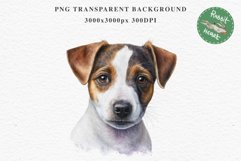 Jack Russell Terrier Cute Puppy Baby Dog Animals Clipart PNG Watercolor  Transparent Print for invitation t-shirt designs sublimation kids printable digital watercolor Baby dog png, watercolor  Jack Russell Terrier puppy clipart, sublimation nursery drawi
