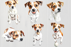 Jack Russell Terrier PNG, 12 Watercolor Dog Clipart Images Product Image 2
