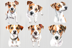 Jack Russell Terrier PNG, 12 Watercolor Dog Clipart Images Product Image 3