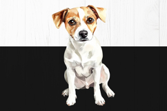 Jack Russell Terrier PNG, 12 Watercolor Dog Clipart Images Product Image 5
